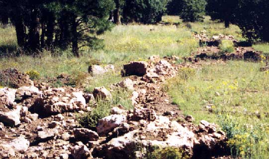 trail with boulders