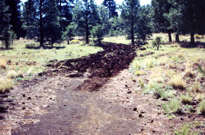 ripped-up dirt road